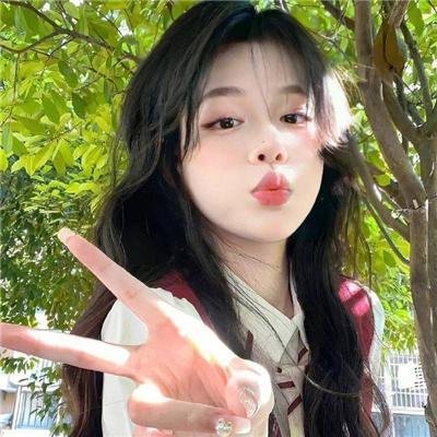威灵顿战线